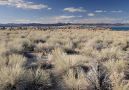 Mono Lake and the Sierra Nevada Mountains